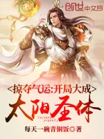 Image of Cướp Đoạt Khí Vận: Bắt Đầu Đại Thành Thái Dương Thánh Thể