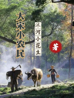 Đại Tống Tiểu Nông Dân Poster