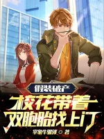 Image of Giả Vờ Phá Sản, Giáo Hoa Mang Theo Song Bào Thai Tìm Tới Cửa