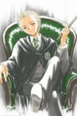 Harry Potter Thiên Sinh Phan Phái Poster