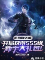 Image of Hệ Thống Group: Bắt Đầu Sss Cấp Tân Thủ Đại Lễ Bao