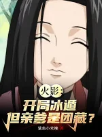 Image of Hokage: Bắt Đầu Băng Độn, Nhưng Cha Ruột Là Danzo?