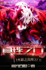 Image of Hokage Chi Chân Lý Chi Môn