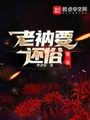 Lão Nạp Phải Hoàn Tục Bộ 2 Poster