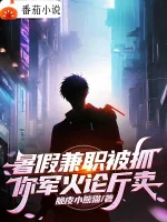 Image of Nghỉ Hè Kiêm Chức Bị Bắt, Ngươi Súng Ống Đạn Được Luận Cân Bán?