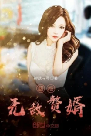 Siêu Cấp Vô Địch Người Ở Rể Poster