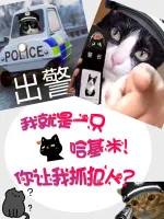 Image of Ta Chính Là Mèo! Ngươi Để Ta Bắt Phạm Nhân?