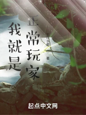 Ta Chính Là Người Chơi Bình Thường! Poster