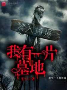 Ta Có Một Mảnh Mộ Địa Poster