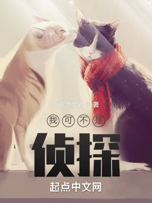Ta Không Phải Là Thám Tử Poster