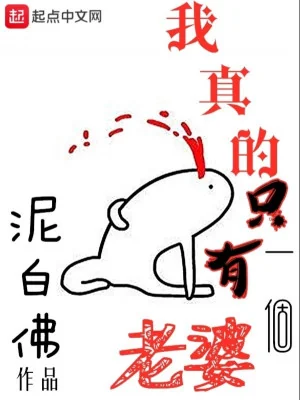 Ta Thực Sự Chỉ Có Một Lão Bà Poster