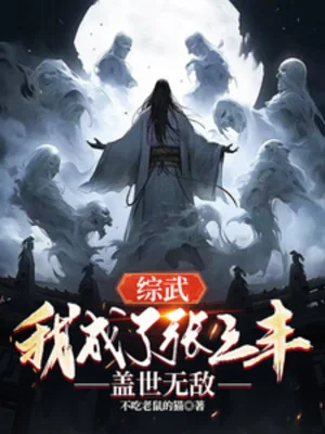 Tổng Võ, Ta Thành Trương Tam Phong, Cái Thế Vô Địch Poster