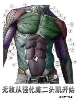 Image of Vô Địch Từ Cường Hóa Cơ Bắp Bắt Đầu