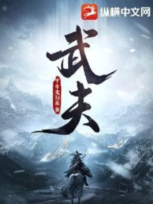 Võ Phu Poster