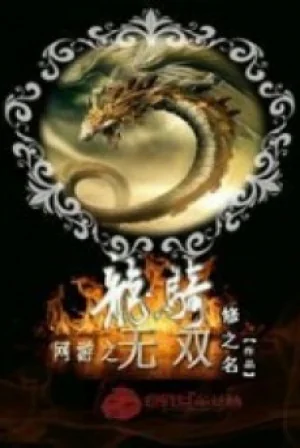 Võng Du Chi Long Kỵ Vô Song Poster