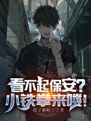 Xem Thường Bảo An? Tiểu Thiết Quyền Đến Rồi! Poster